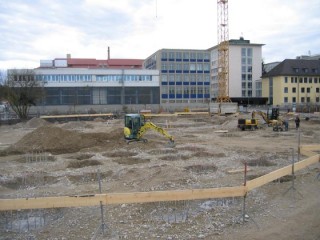 Linde Agora Schnurgerüst